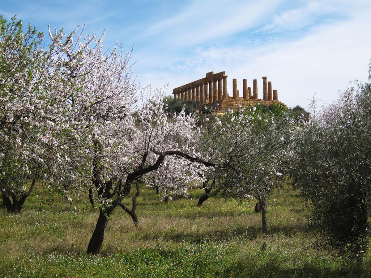 Apartamento Anima Templi Agrigento Exterior foto
